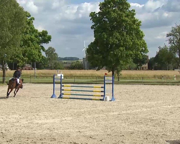 Reitturnier Rot am See- Musdorf 2025
