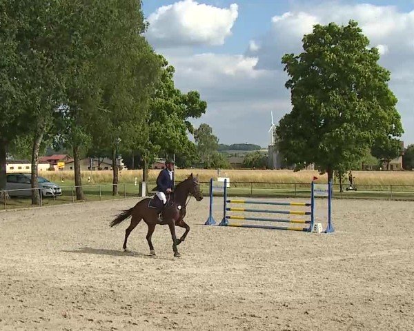 Reitturnier Rot am See- Musdorf 2025