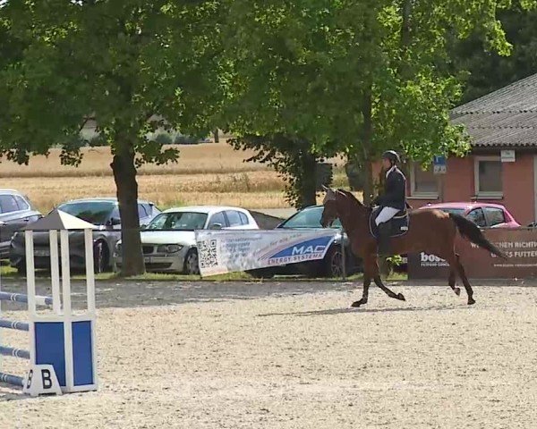 Reitturnier Rot am See- Musdorf 2025