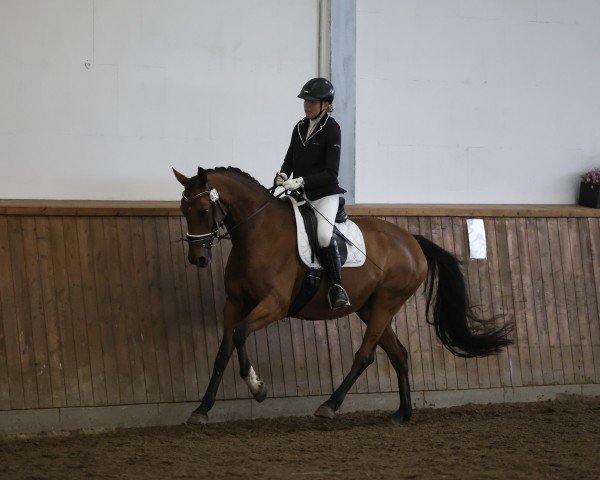 dressage horse Rocco's Ronja (Hanoverian, 2017, from Rocco Granata)