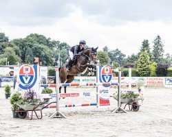 jumper Coer Jack (Rhinelander, 2019, from Coer Noble)