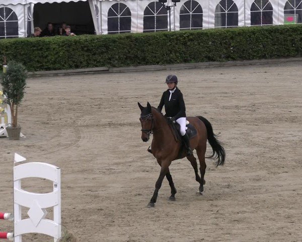 Reitturnier Neustadt/Dosse 2025