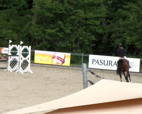 Reitturnier Maienfeld 2025