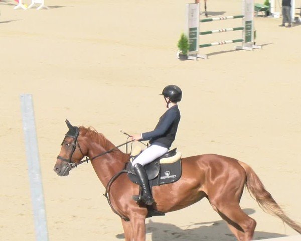 Reitturnier Maienfeld 2025