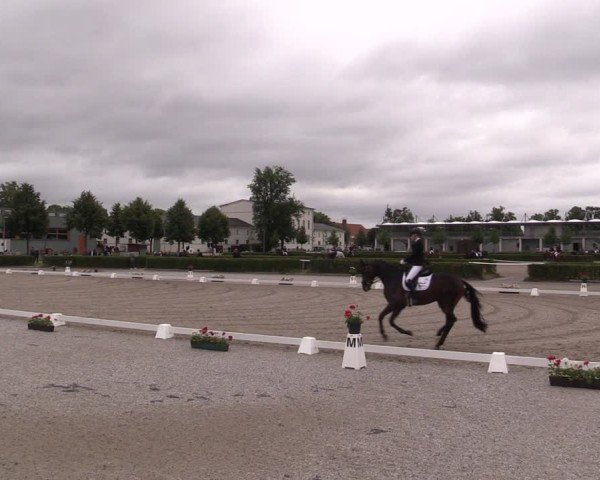 Reitturnier Neustadt/Dosse 2025