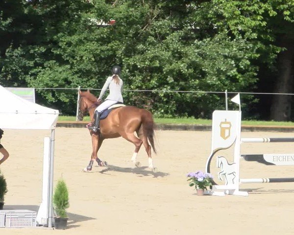 Reitturnier Maienfeld 2025