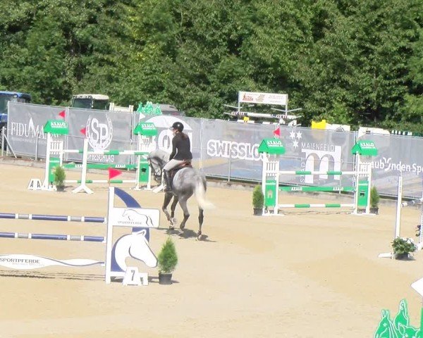 Reitturnier Maienfeld 2025