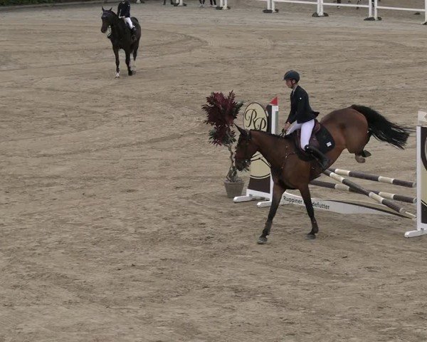 Reitturnier Neustadt/Dosse 2025