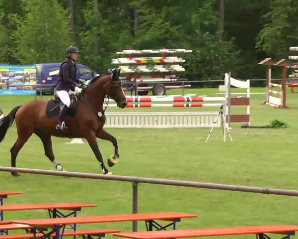 Grosses Freilandreitturnier Leingarten 2014