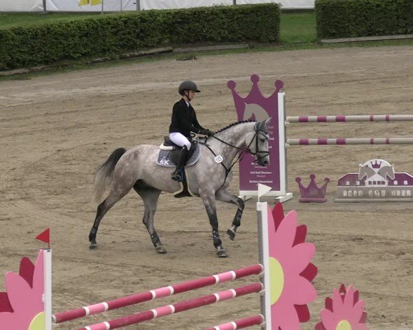 Reitturnier Neustadt/Dosse 2025