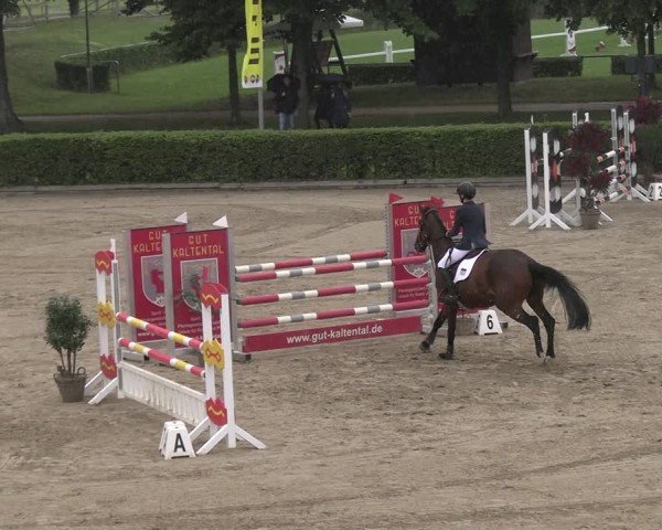 Reitturnier Neustadt/Dosse 2025