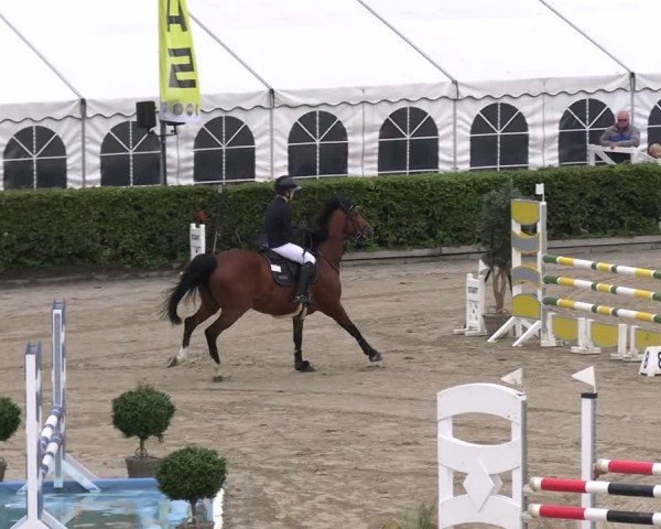 Reitturnier Neustadt/Dosse 2025