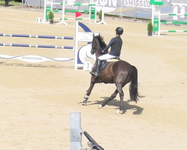 Reitturnier Maienfeld 2025