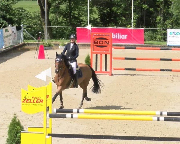 Reitturnier Maienfeld 2025