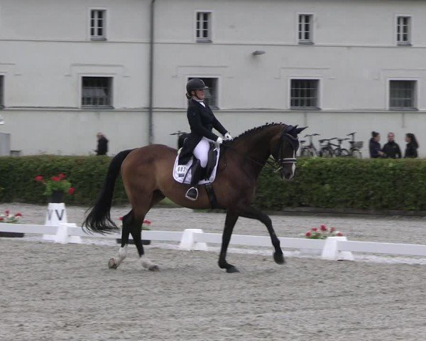 Reitturnier Neustadt/Dosse 2025