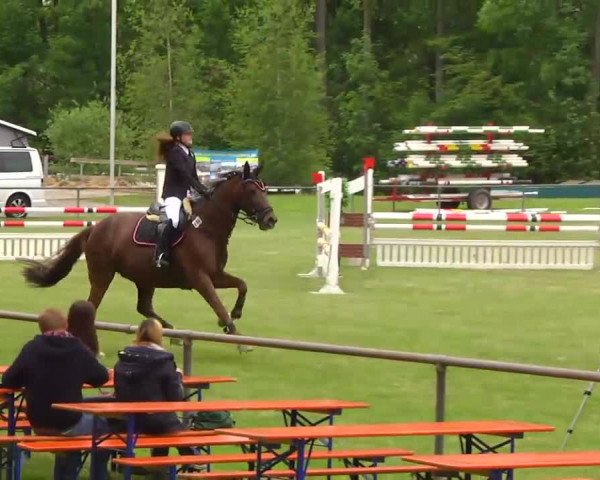 Grosses Freilandreitturnier Leingarten 2014