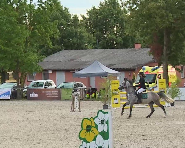 Reitturnier Rot am See- Musdorf 2025