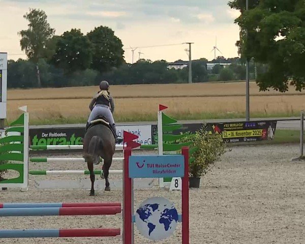 Reitturnier Rot am See- Musdorf 2025