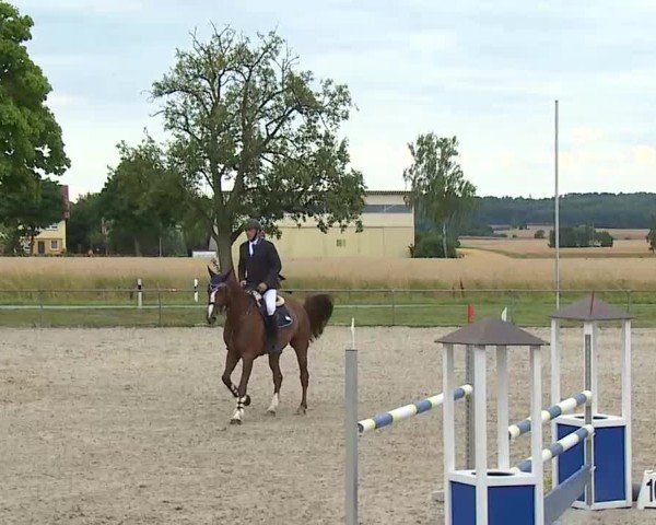 Reitturnier Rot am See- Musdorf 2025
