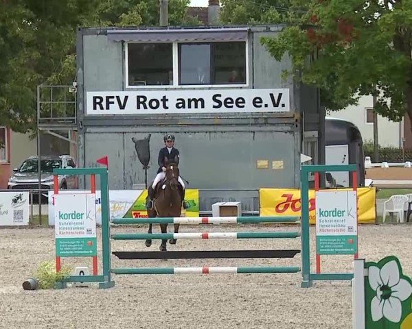 Reitturnier Rot am See- Musdorf 2025