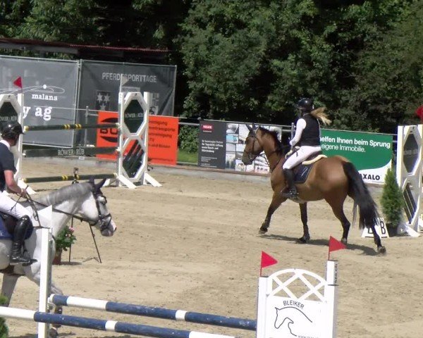 Reitturnier Maienfeld 2025