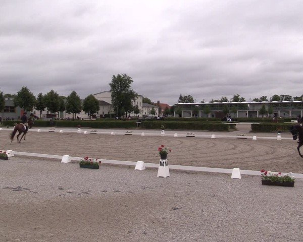 Reitturnier Neustadt/Dosse 2025
