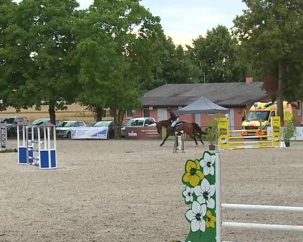 Reitturnier Rot am See- Musdorf 2025