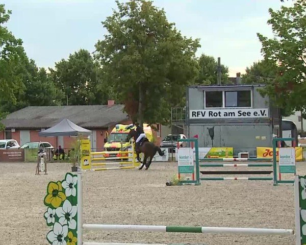 Reitturnier Rot am See- Musdorf 2025
