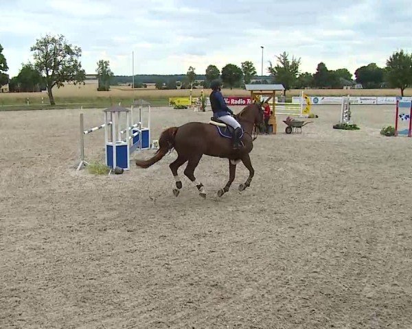 Reitturnier Rot am See- Musdorf 2025