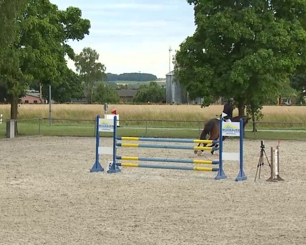 Reitturnier Rot am See- Musdorf 2025
