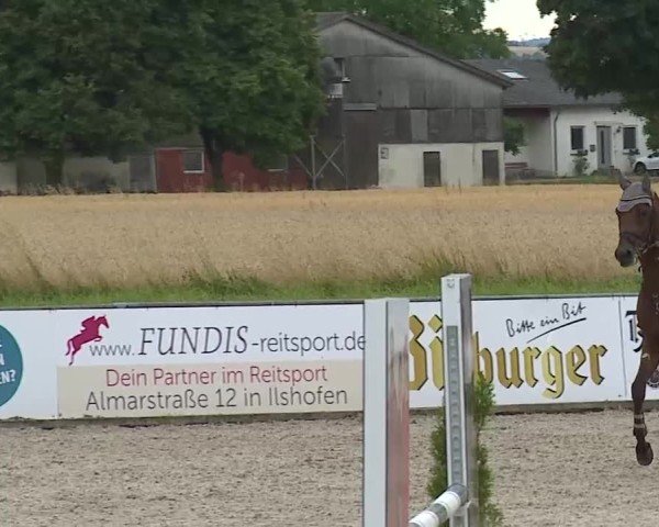 Reitturnier Rot am See- Musdorf 2025