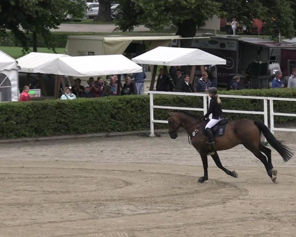 Reitturnier Neustadt/Dosse 2025