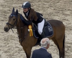 Springpferd Magic Night von der Mühle (Deutsches Reitpony, 2014, von Centauro's Midas)