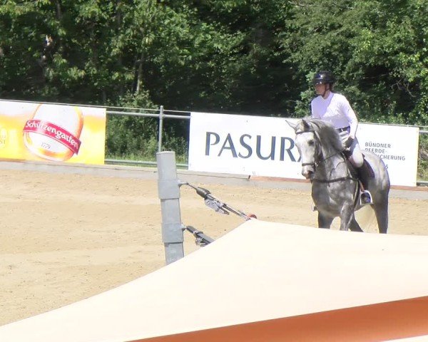 Reitturnier Maienfeld 2025