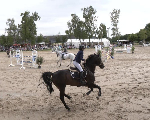 Reitturnier Herbern 2025