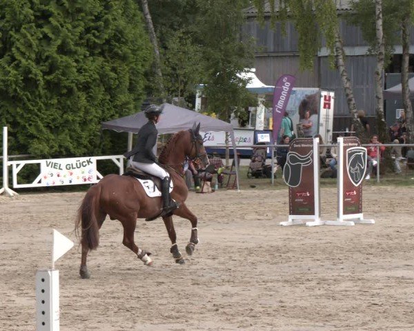 Reitturnier Herbern 2025