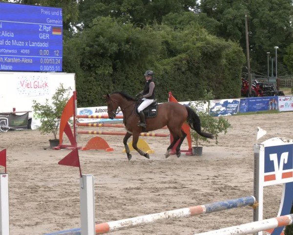 Reitturnier Herbern 2025