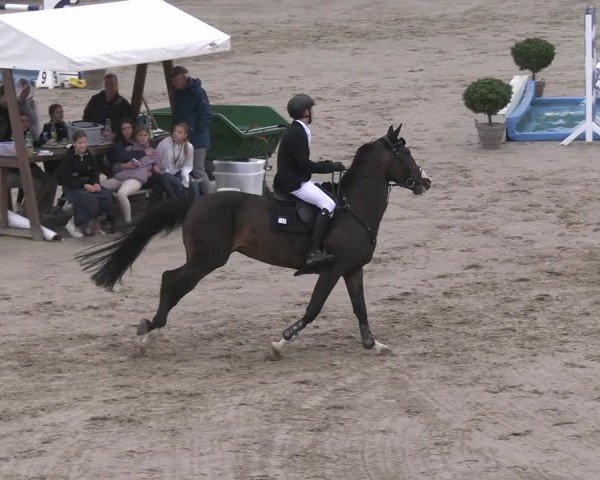 Reitturnier Neustadt/Dosse 2025