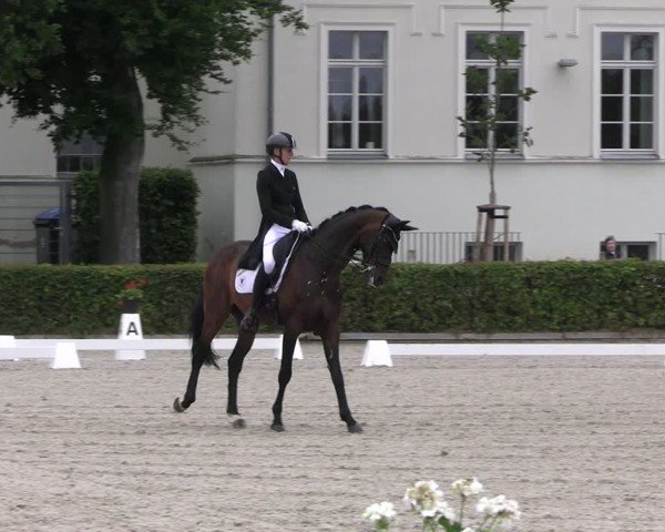 Reitturnier Neustadt/Dosse 2025