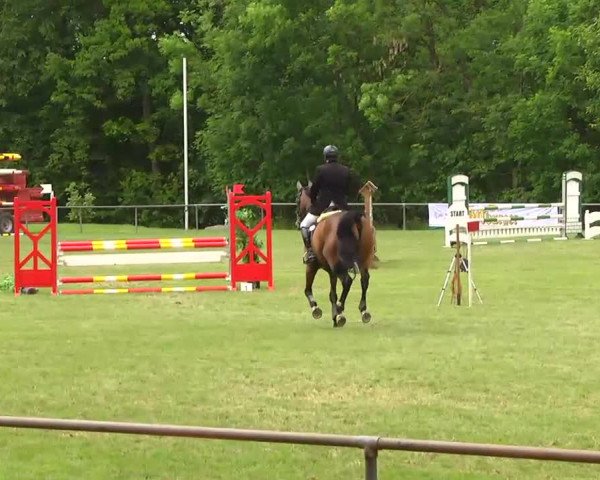 Grosses Freilandreitturnier Leingarten 2014