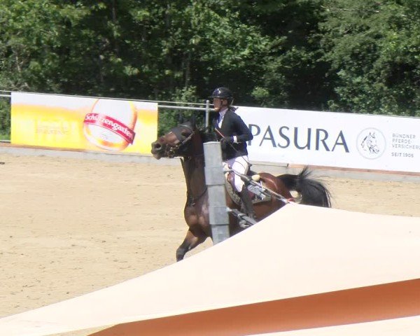 Reitturnier Maienfeld 2025