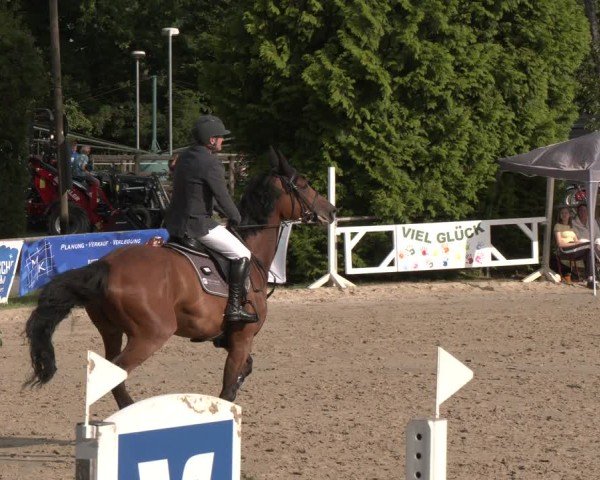 Reitturnier Herbern 2025