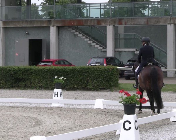 Reitturnier Neustadt/Dosse 2025