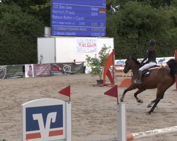 Reitturnier Herbern 2025
