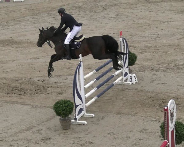 Reitturnier Neustadt/Dosse 2025