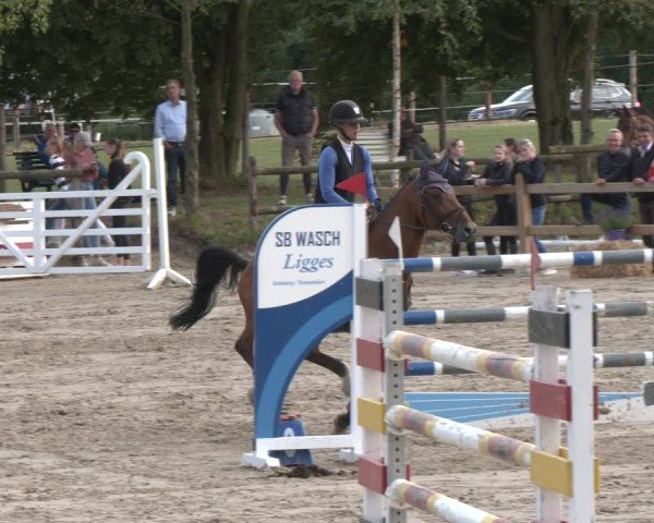 Reitturnier Herbern 2025