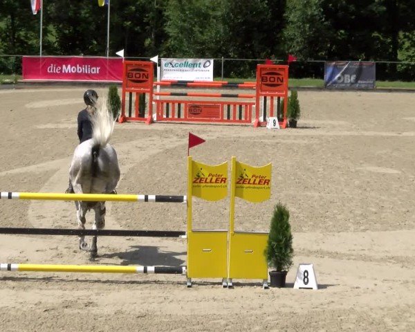 Reitturnier Maienfeld 2025
