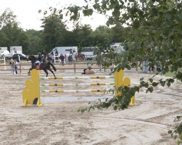 Reitturnier Herbern 2025