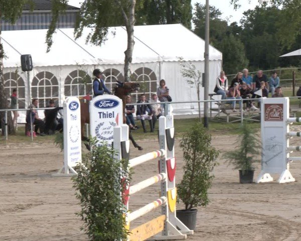 Reitturnier Herbern 2025