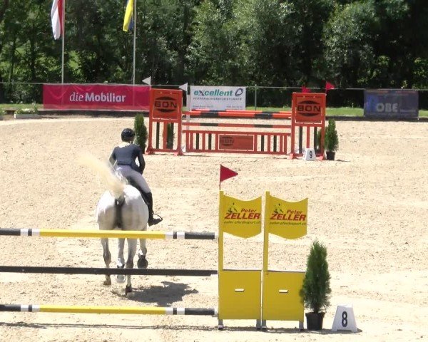 Reitturnier Maienfeld 2025